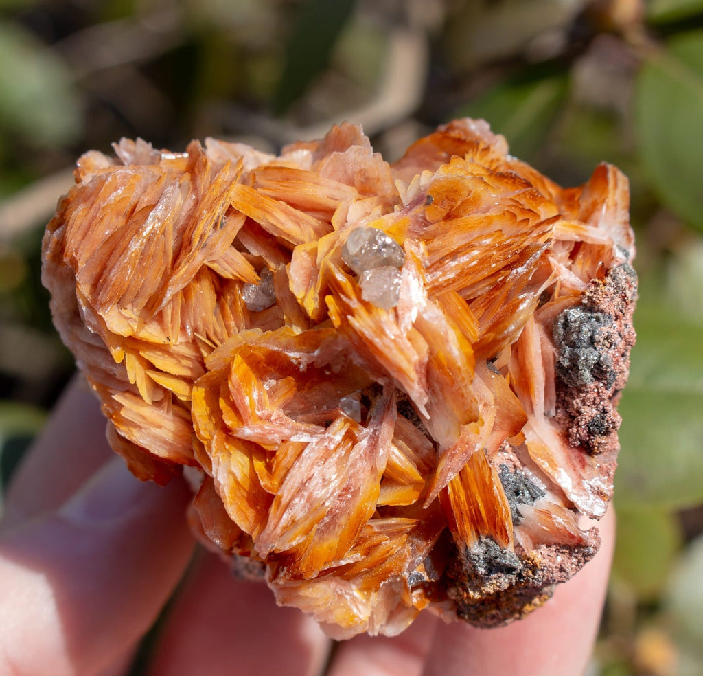 Organic T-Shirts Dyed From Minerals & Crystals?!